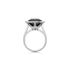 13mm,Black Onyx
