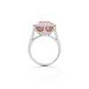 Fusion Morganite